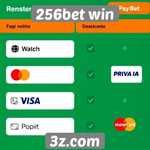 Métodos de pagamento aceitos pelo 256bet win